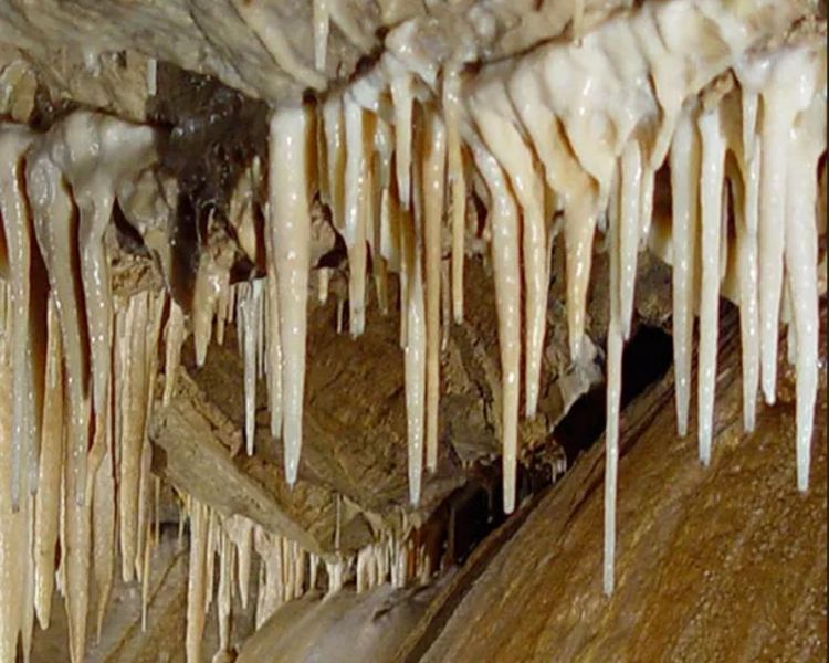 Medvědí jeskyně|V masivu Śnieżník