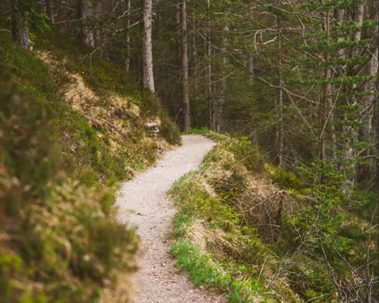 Pěší trasy|V Lądku-Zdroje